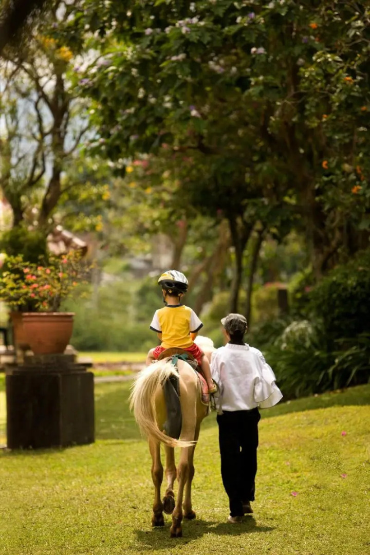 Sheraton Bandung Hotel & Towers