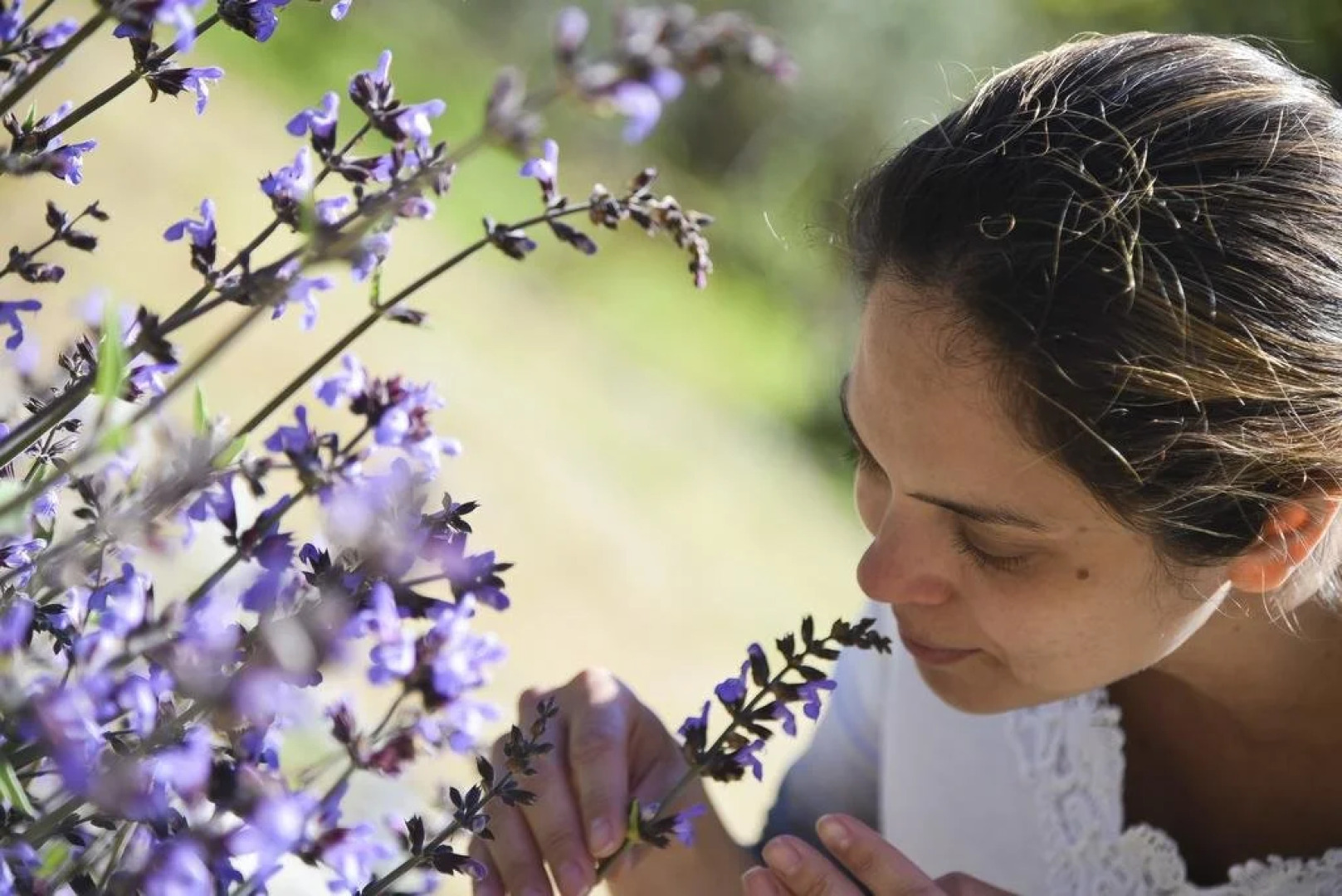 Il Giardino di Julia B&B