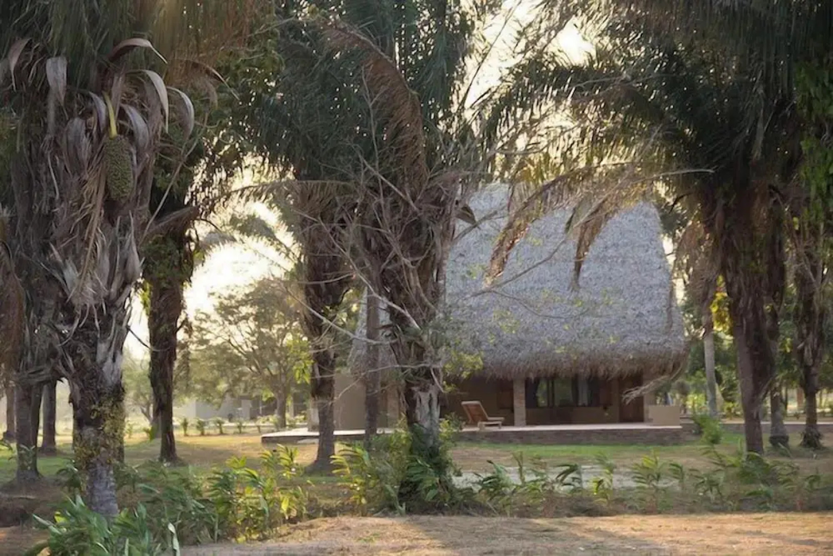 Savanna Orinoquia Lodge