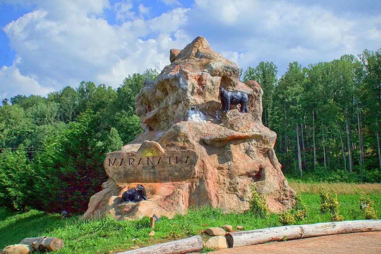 Pool Movie 1 Apartment 6