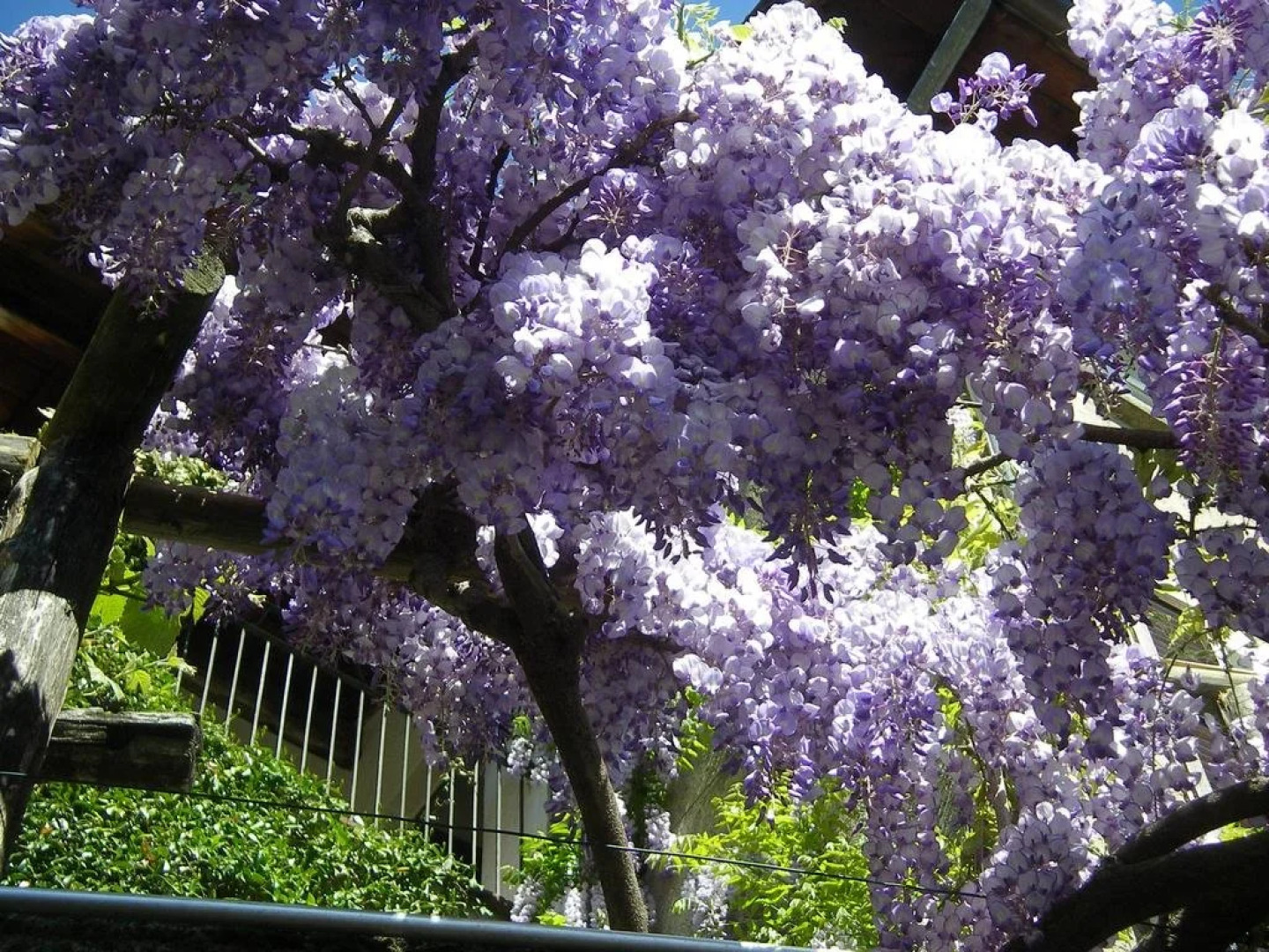 Albergo Casa Santo Stefano