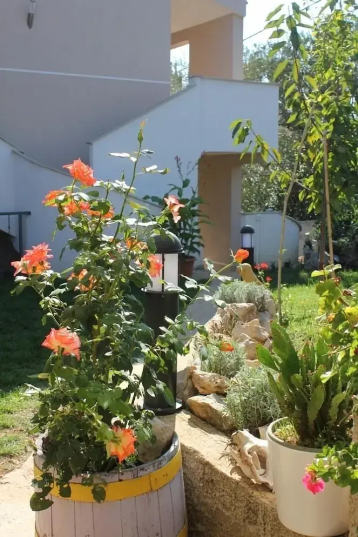 Ante - 50m From the sea - A1 Plavi