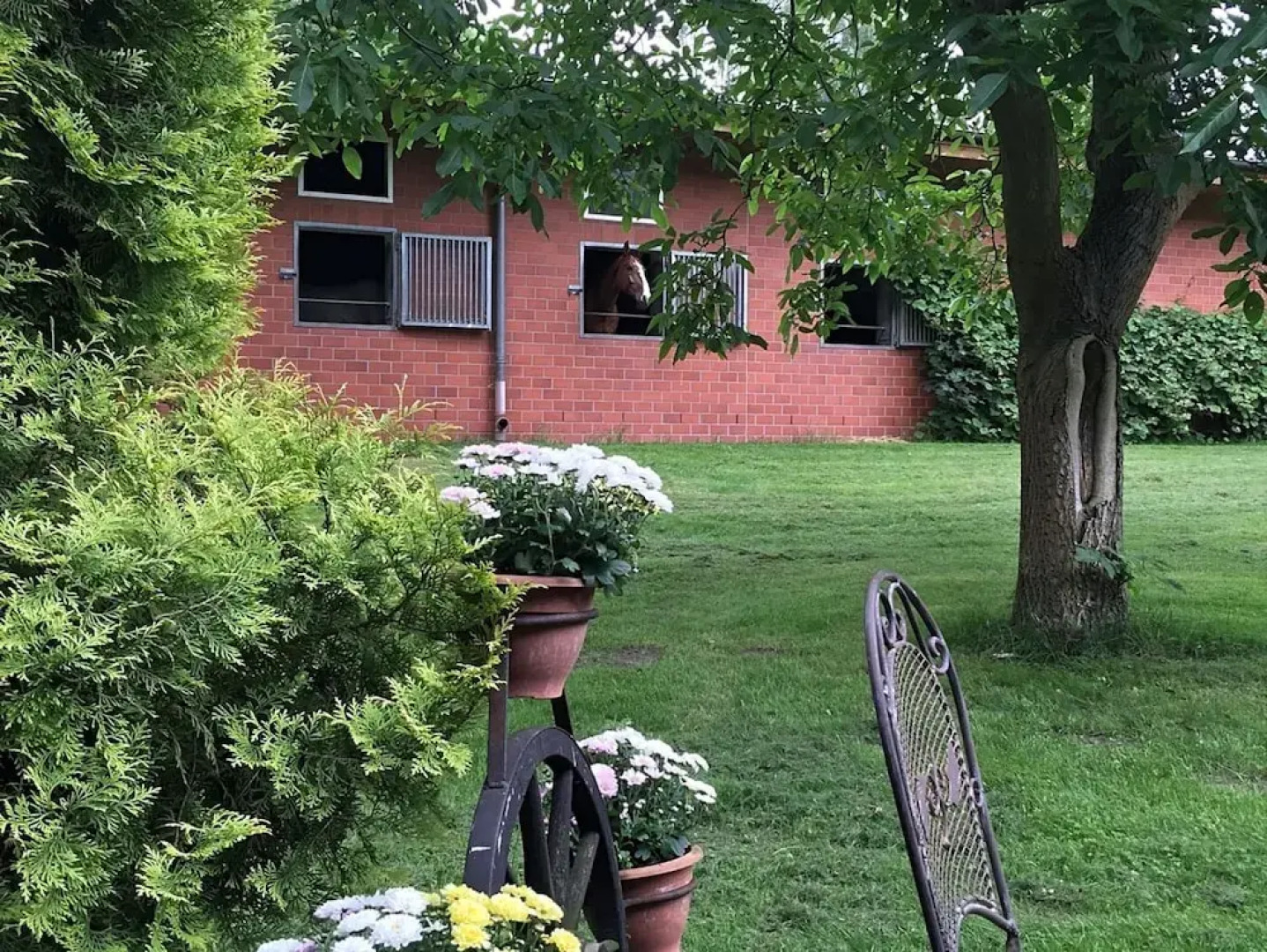 Holiday Home in Kirchdorf With Swimming Pool