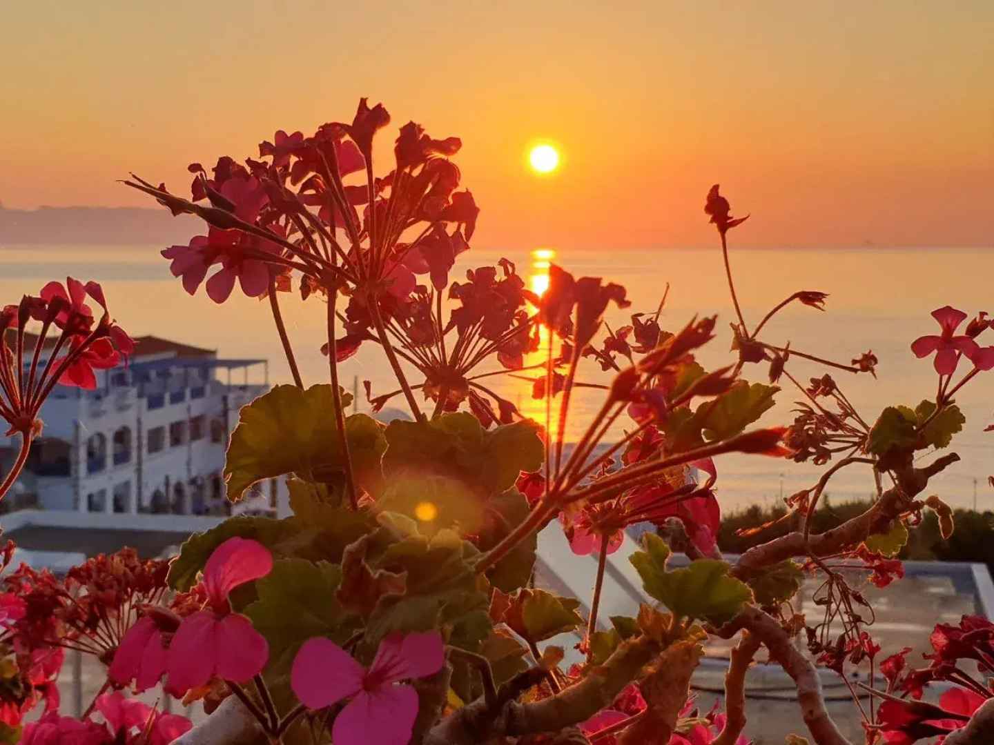 Romantica Apartments