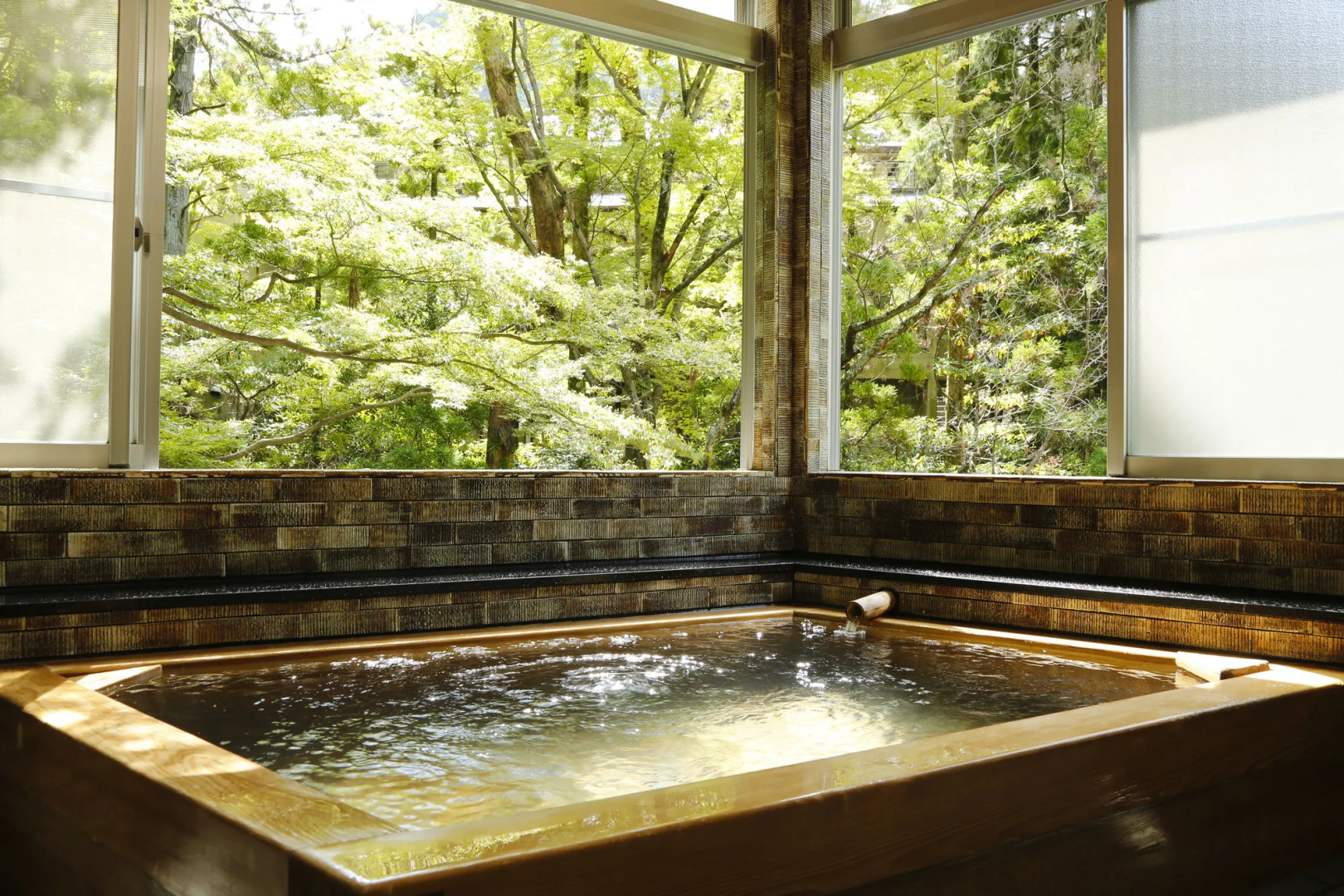 Hashinoya Annex Ransui