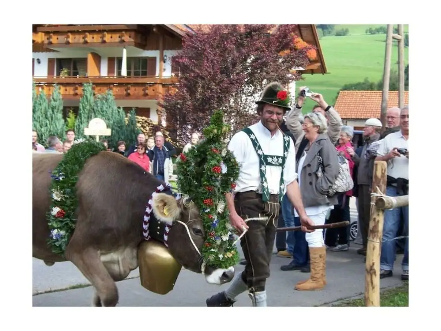 Kreuzwiesen Comfortable Holiday Residence