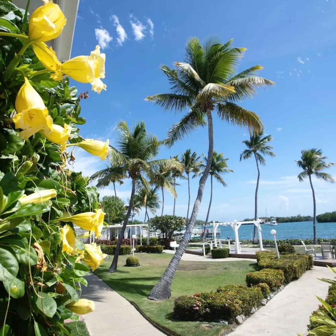 Parador Villa Parguera