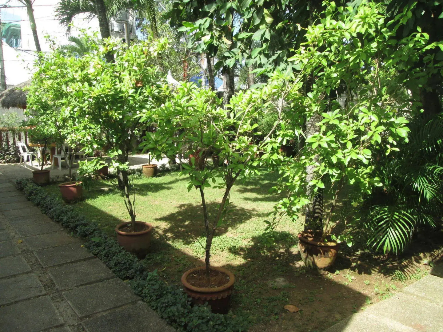 Seabird International Resort