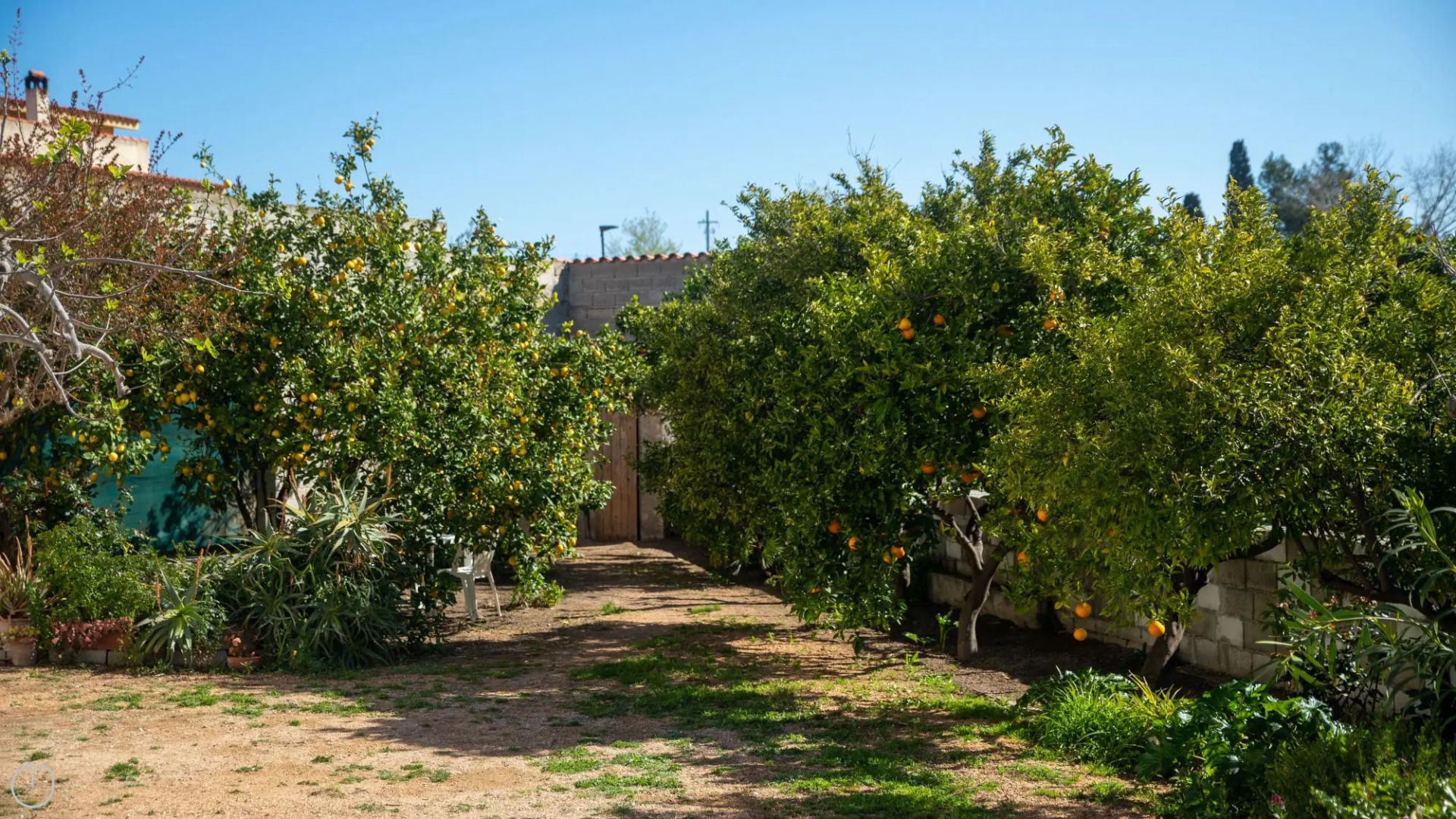 Appartamento Melograno