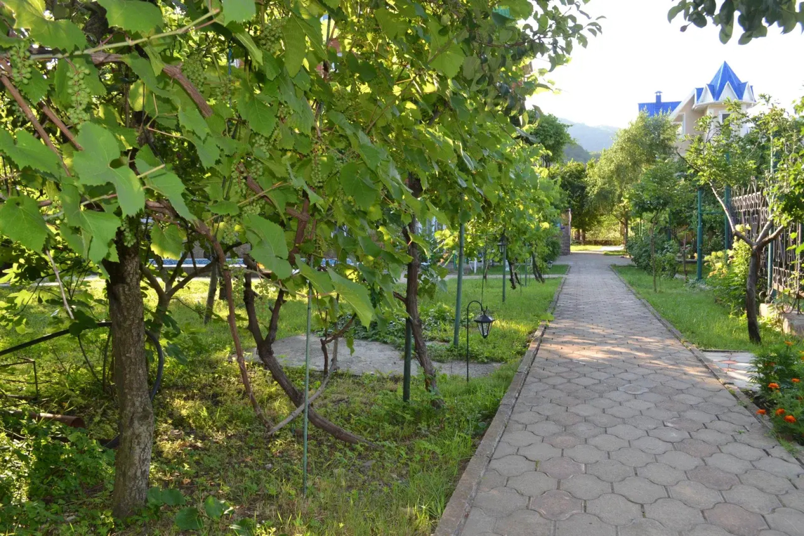 ЮрГа