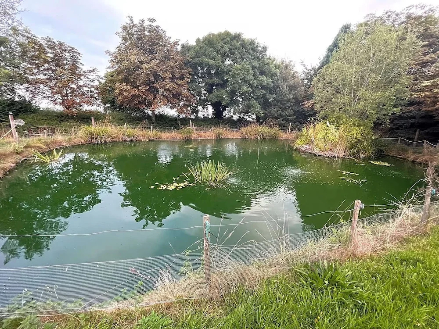 Woodlands Basic Bell Tent 2
