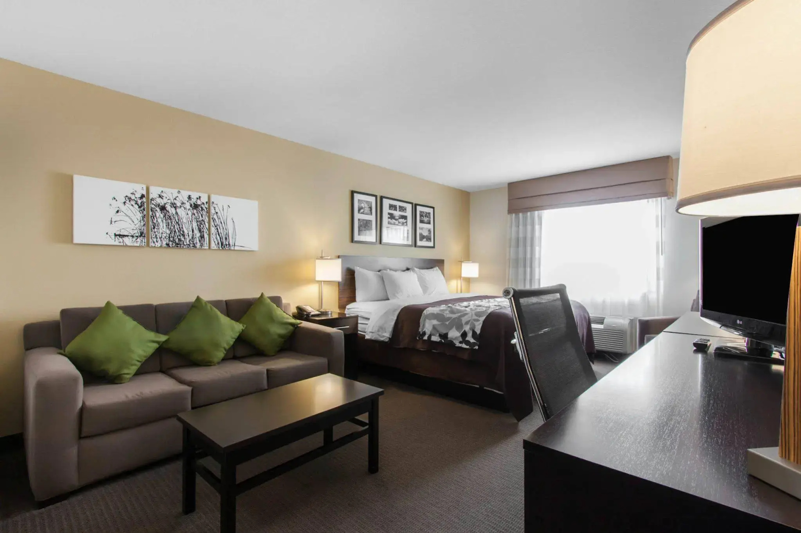 Sleep Inn & Suites Fargo Medical Center
