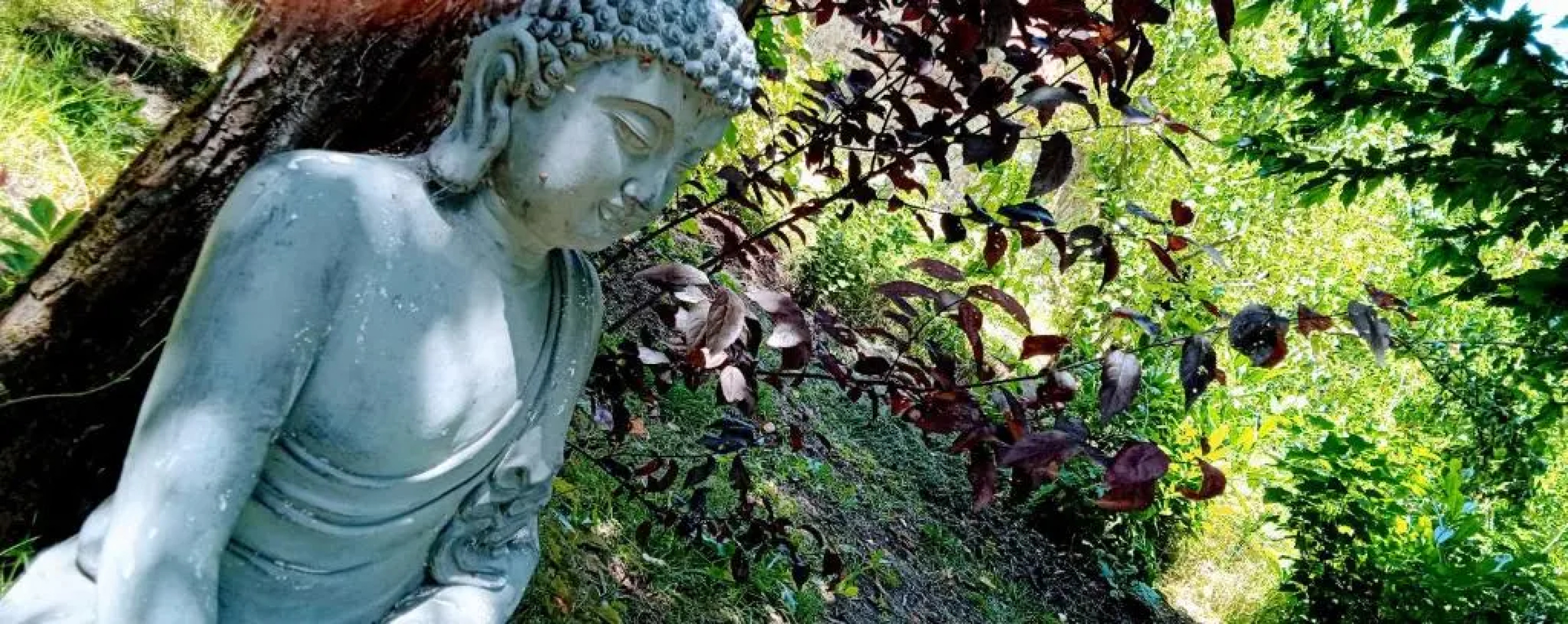 Les Cles du Parc (Adults Only)
