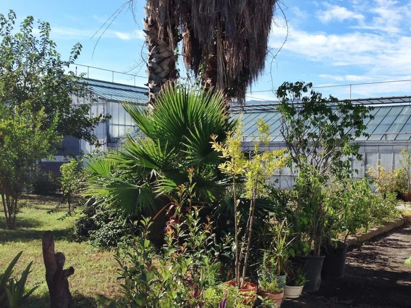 Belvilla by OYO Menotti