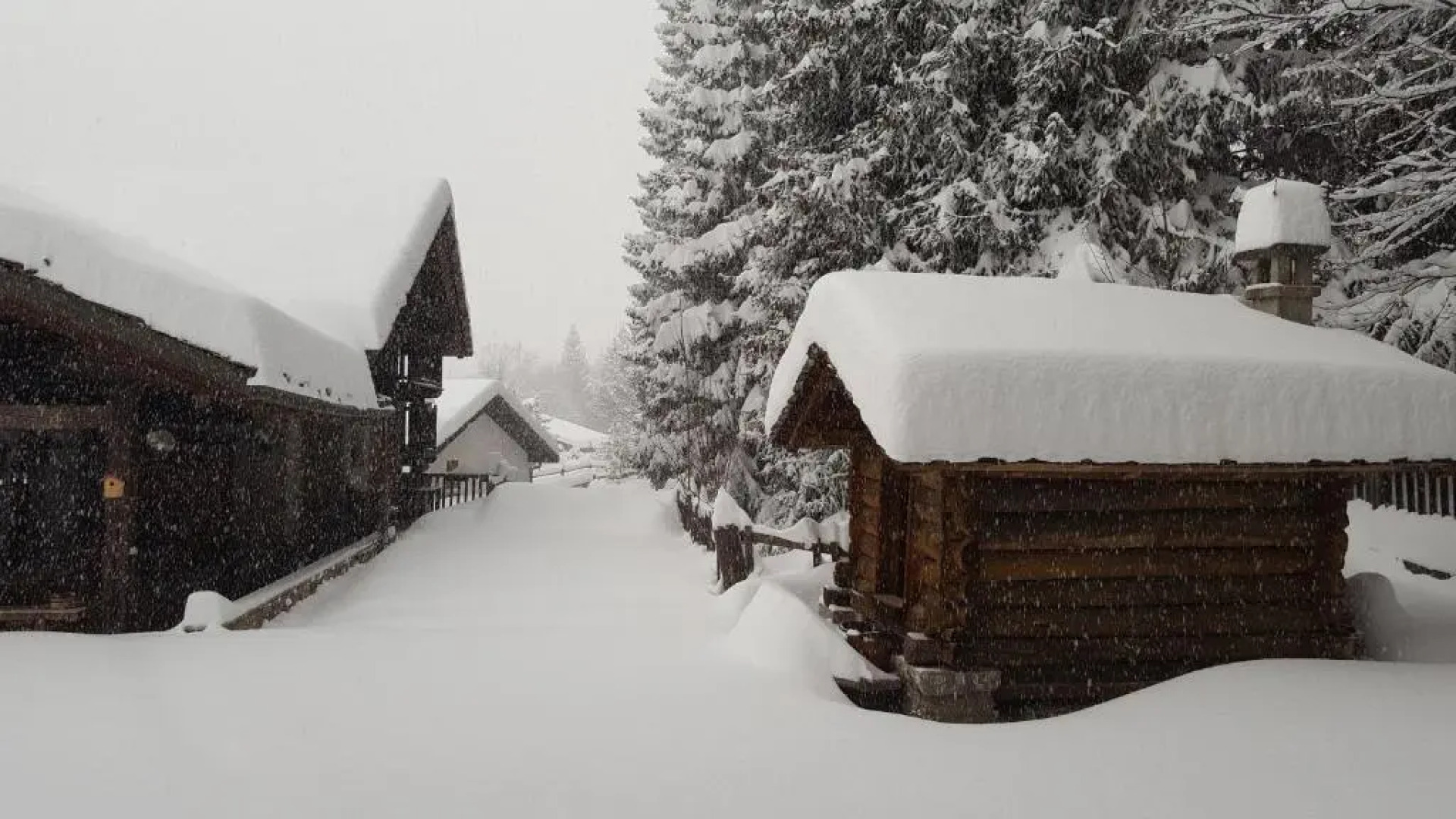 Chalet Blanc " PREMIER "