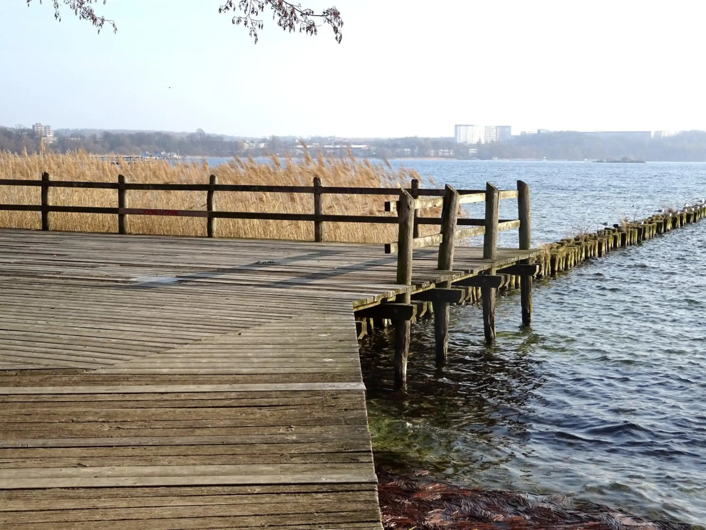 Neubrandenburg-Wasser,Natur,Zentrum,Ladestation für E-Autos