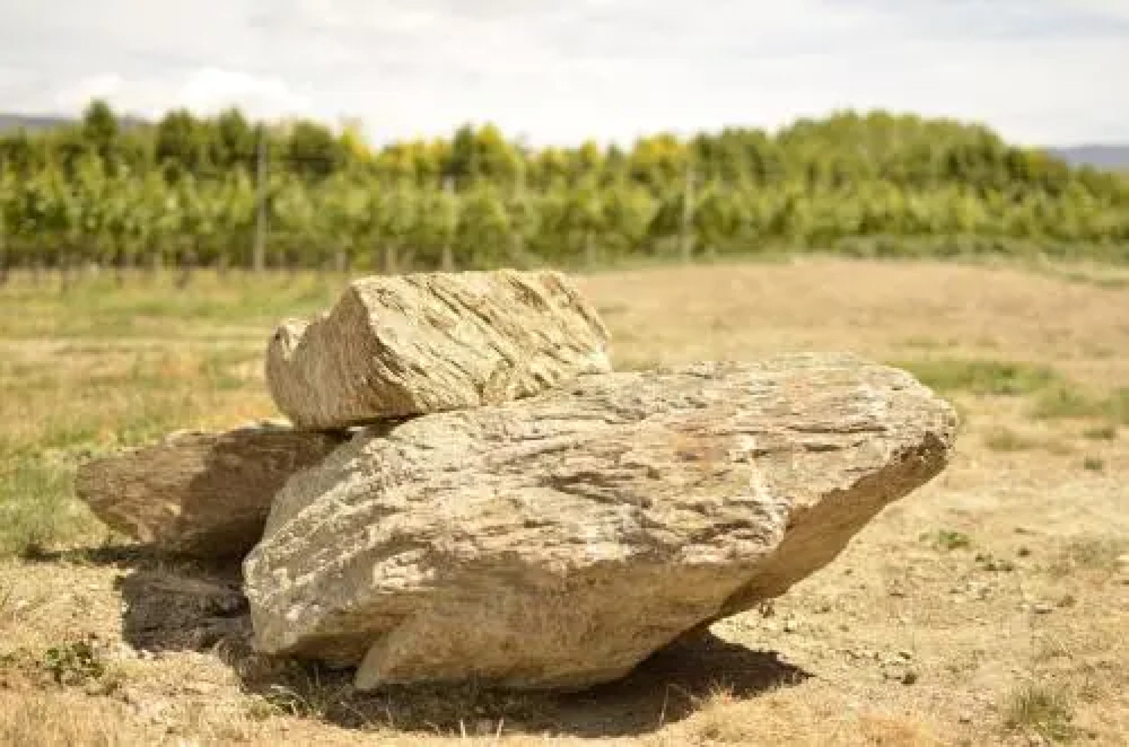 Weaver Estate Wines & Weaver Estate Vineyard Cottages