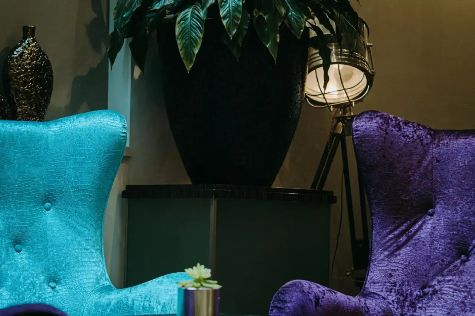 The Honest Budapest by Chic & Basic