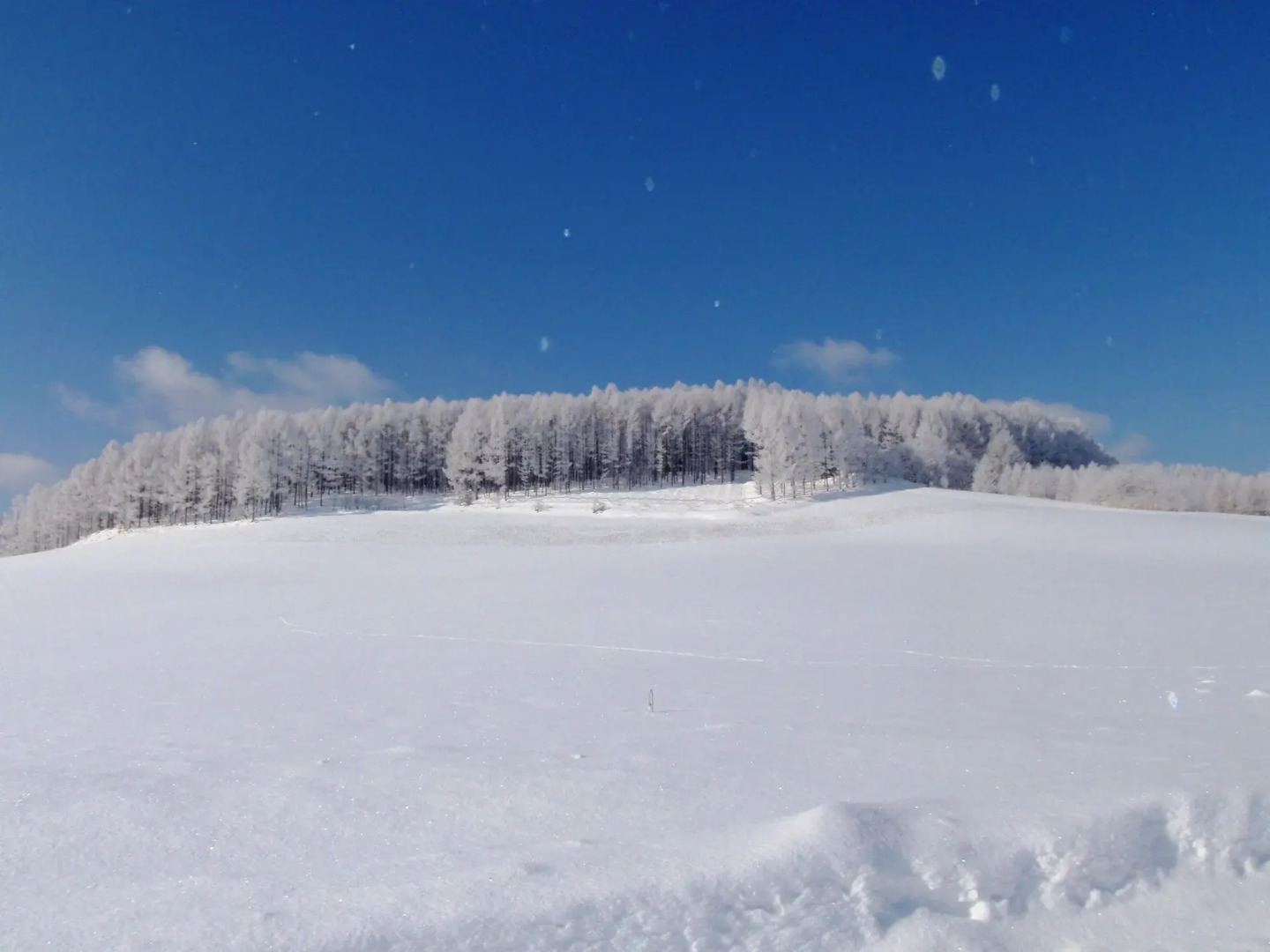 Pension Hoshi Ni Negaiwo