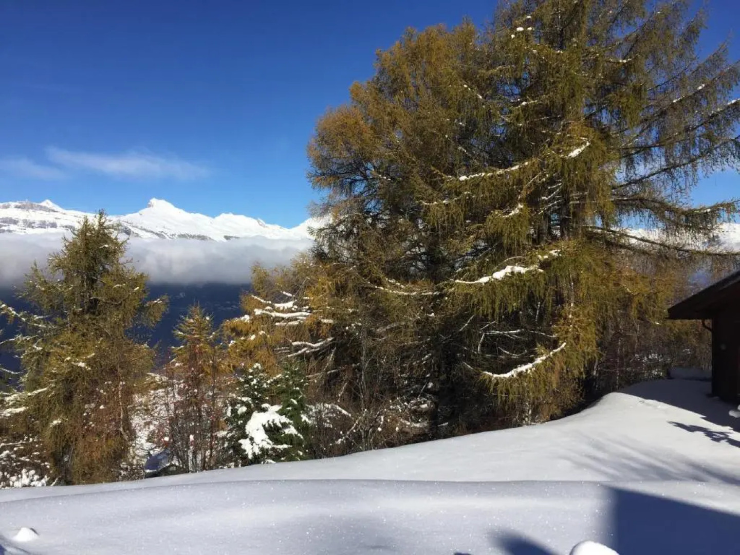 Chalet Pierre Blanche