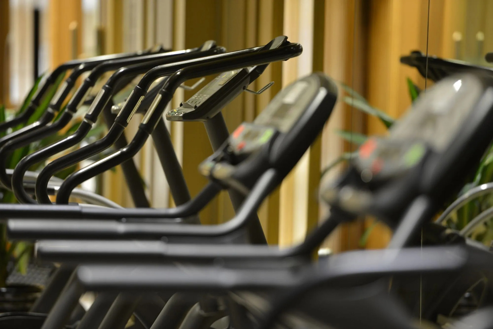 Luxemon Xinjiang Yindu Hotel