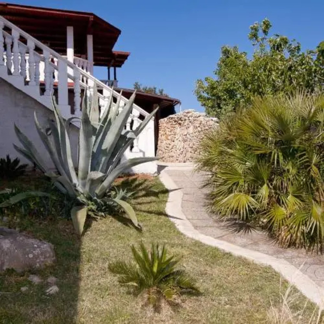 Apartments Ruža Dragove Dugi otok