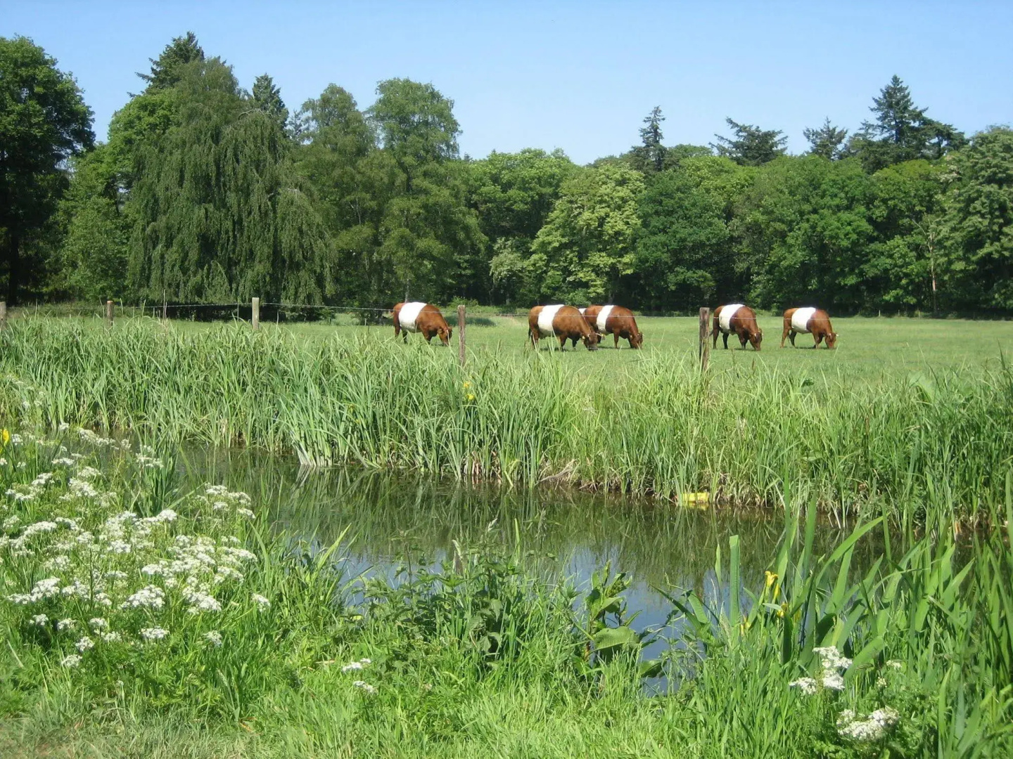 Landgoedhotel Woodbrooke