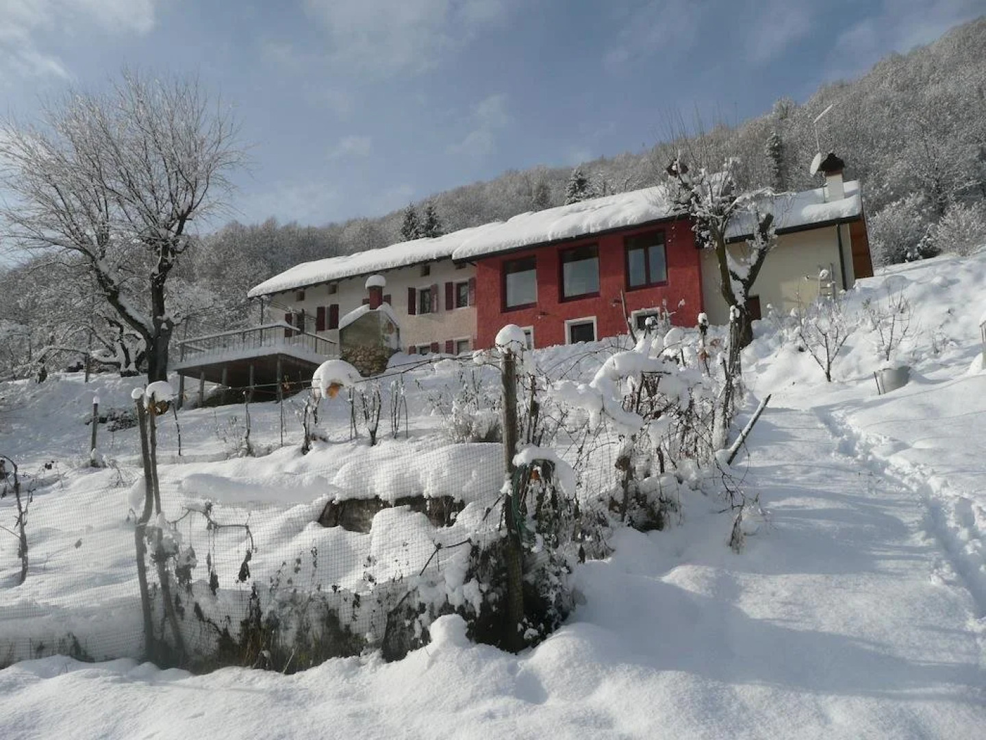 i boschi del castagno