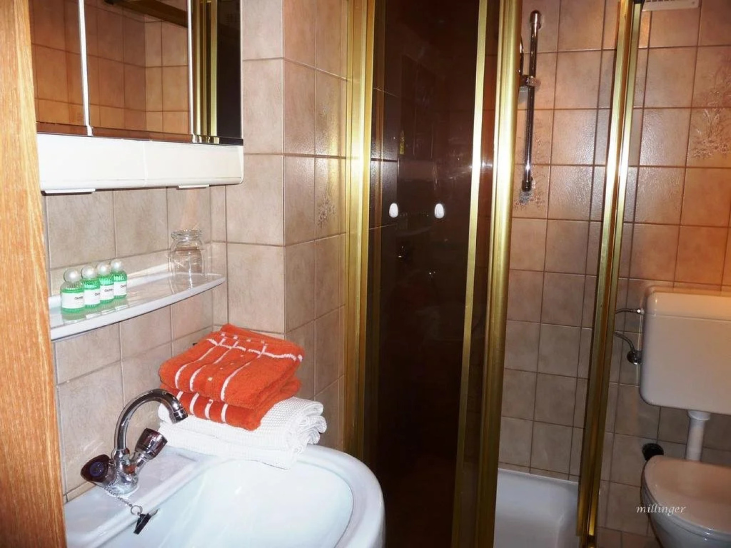 Ferienwohnungen Millinger