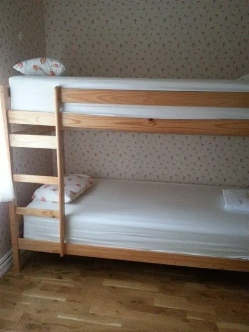Puffin Hostel Vík