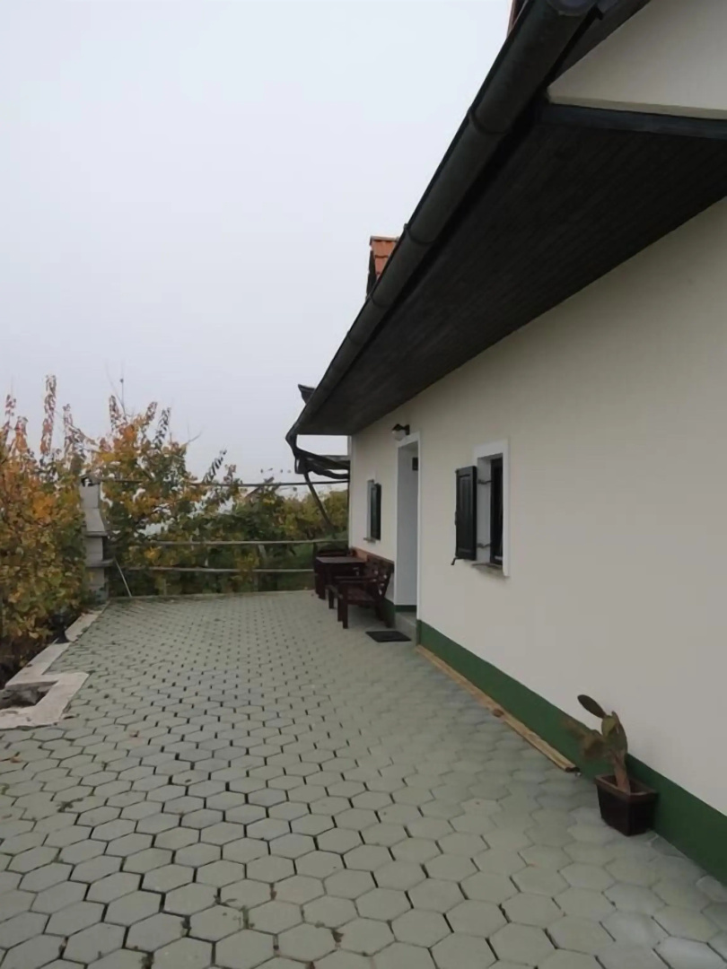 Vineyard cottage Zdolšek