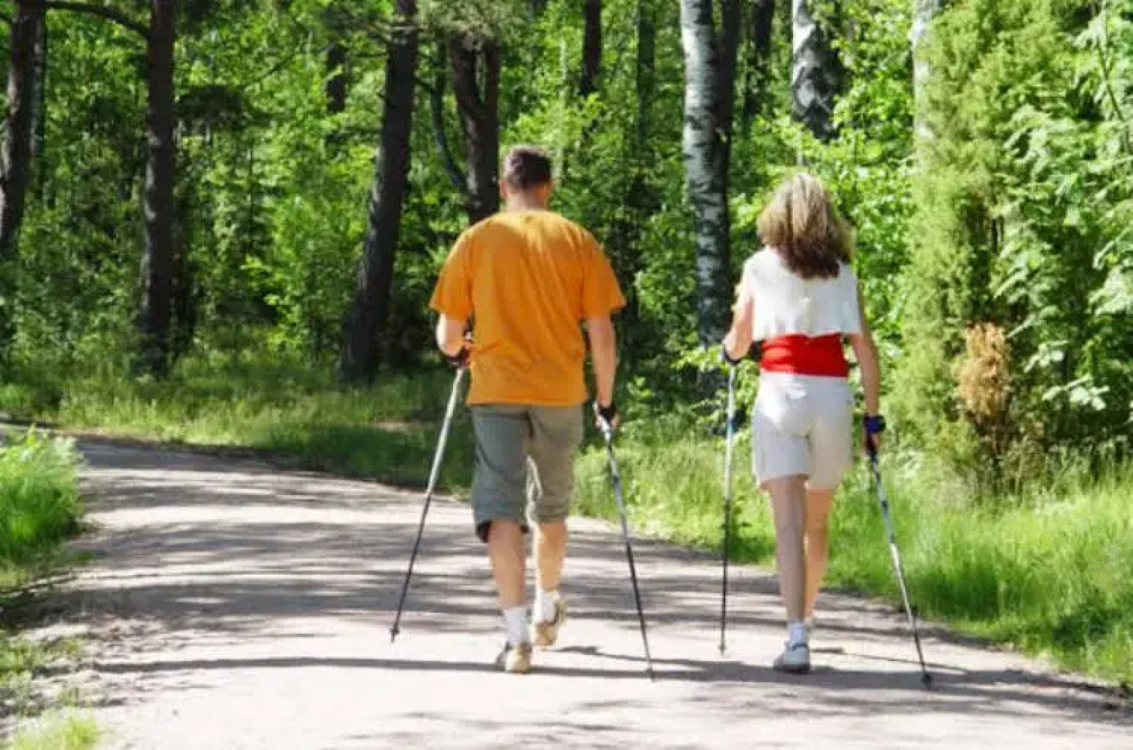 Hotel Birkenhof am See
