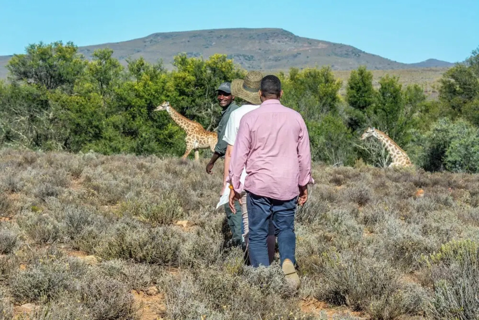 Mont Eco Game Reserve