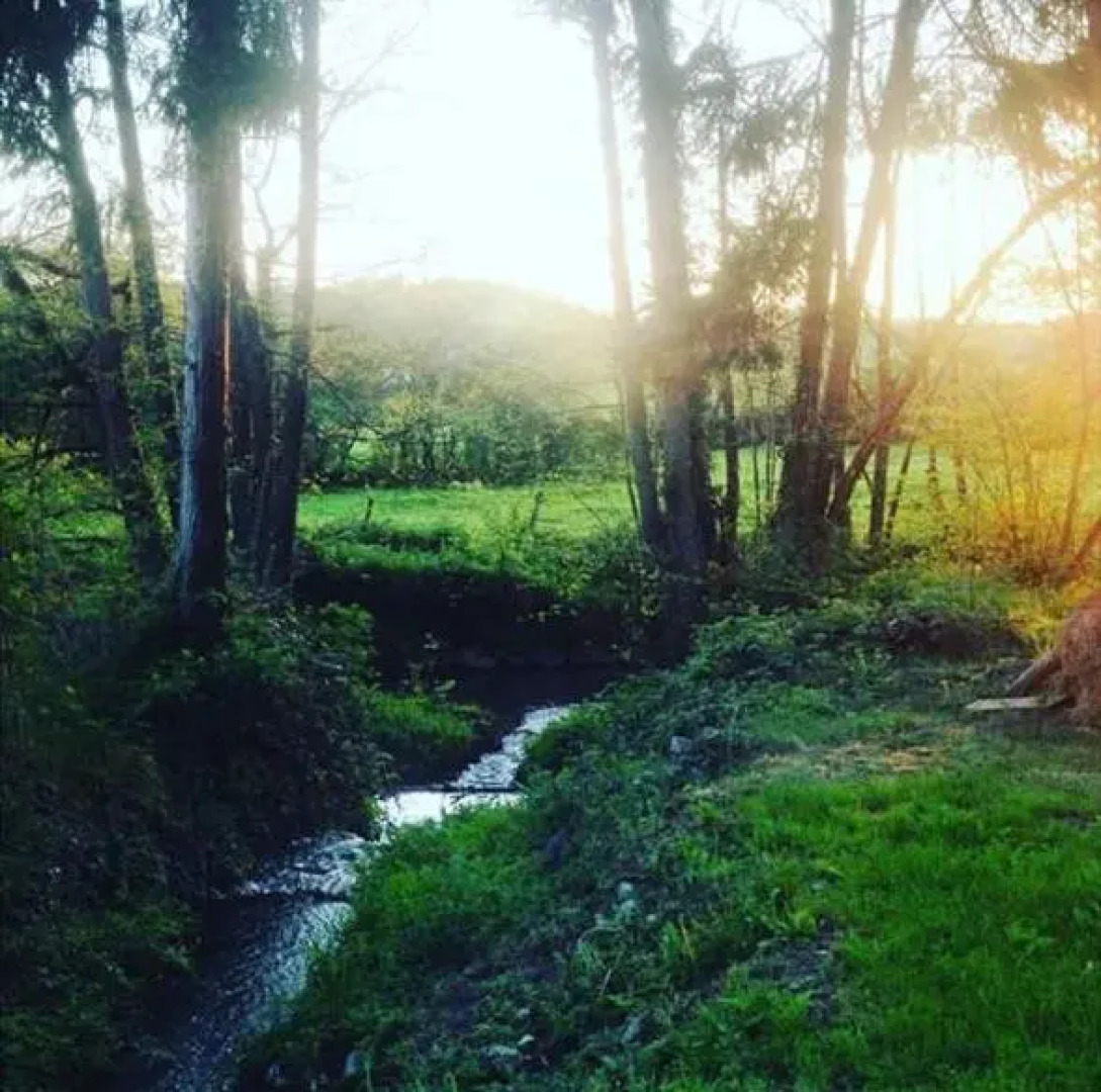 Le Moulin de Corneil
