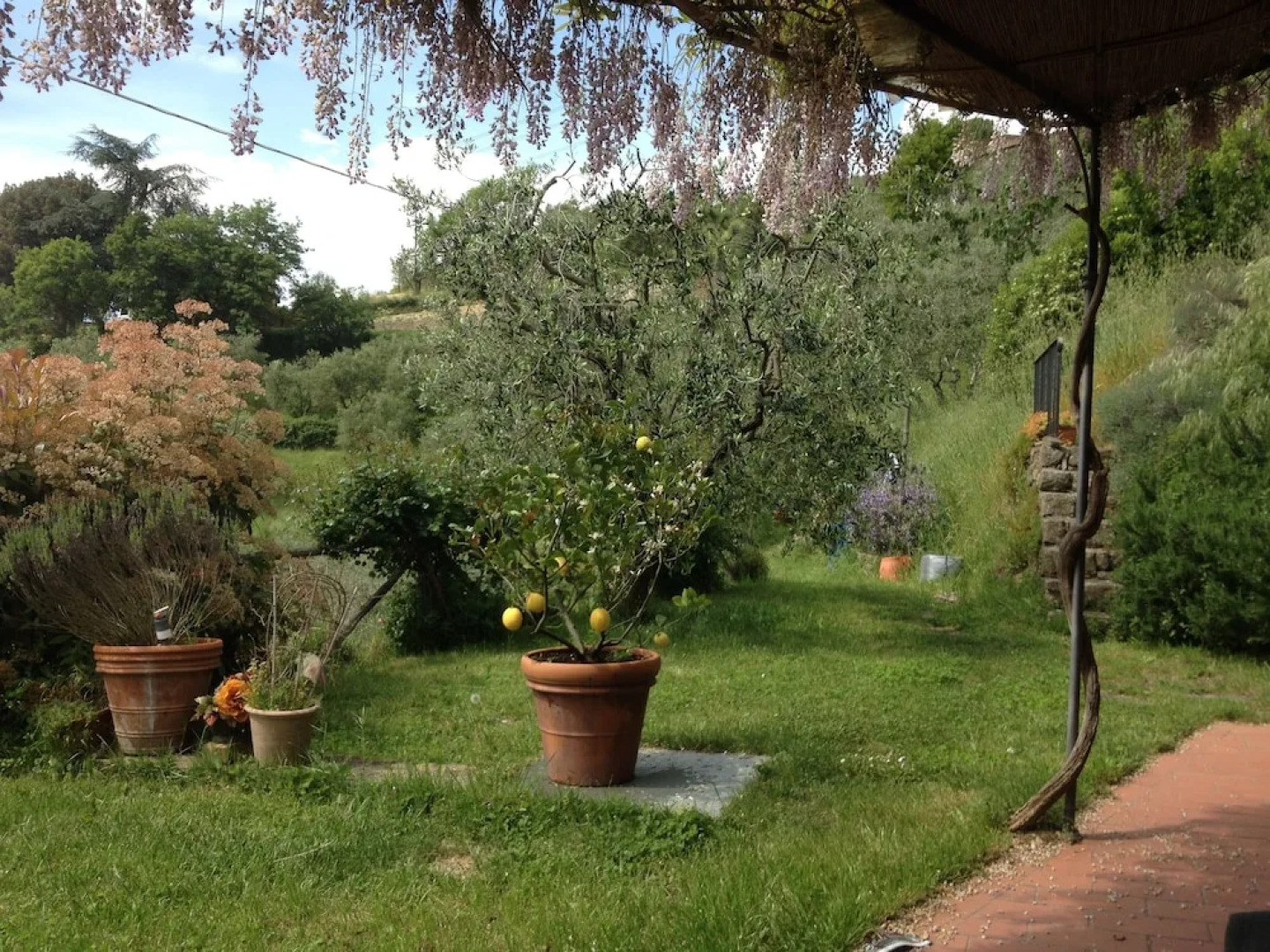 Sereno la tua Casa nelle Colline Toscane