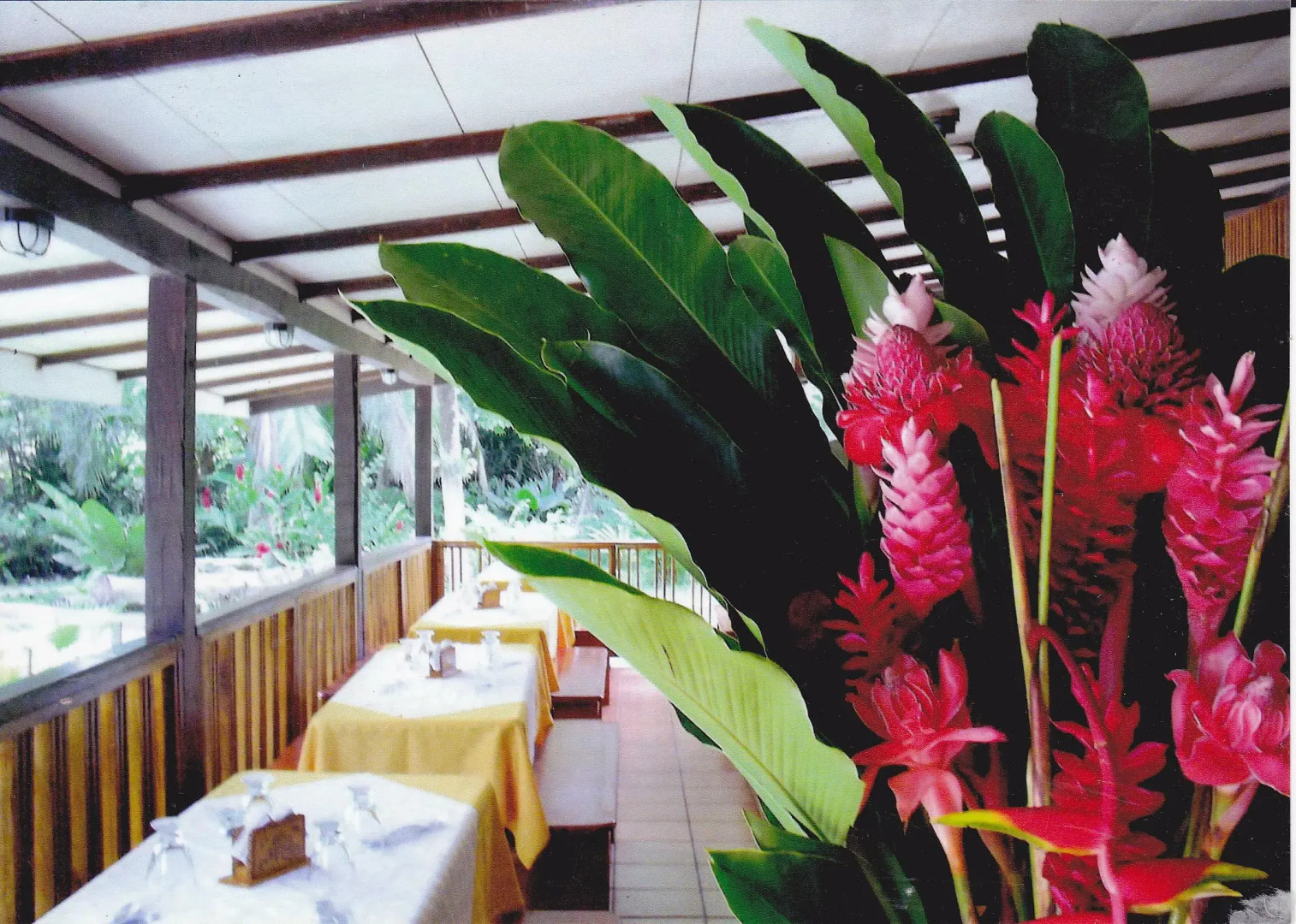 Pizote Lodge