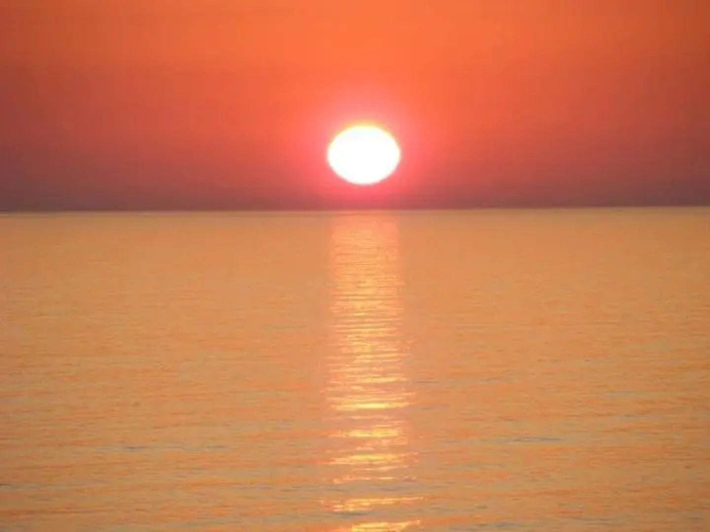 Diamond Beach Apts & Studios