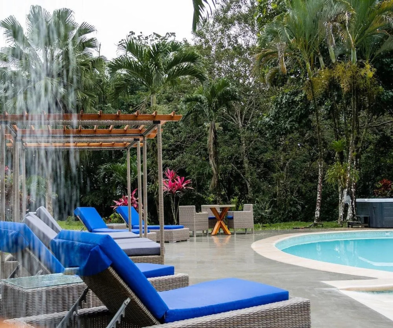 Noah's Forest by Tifakara