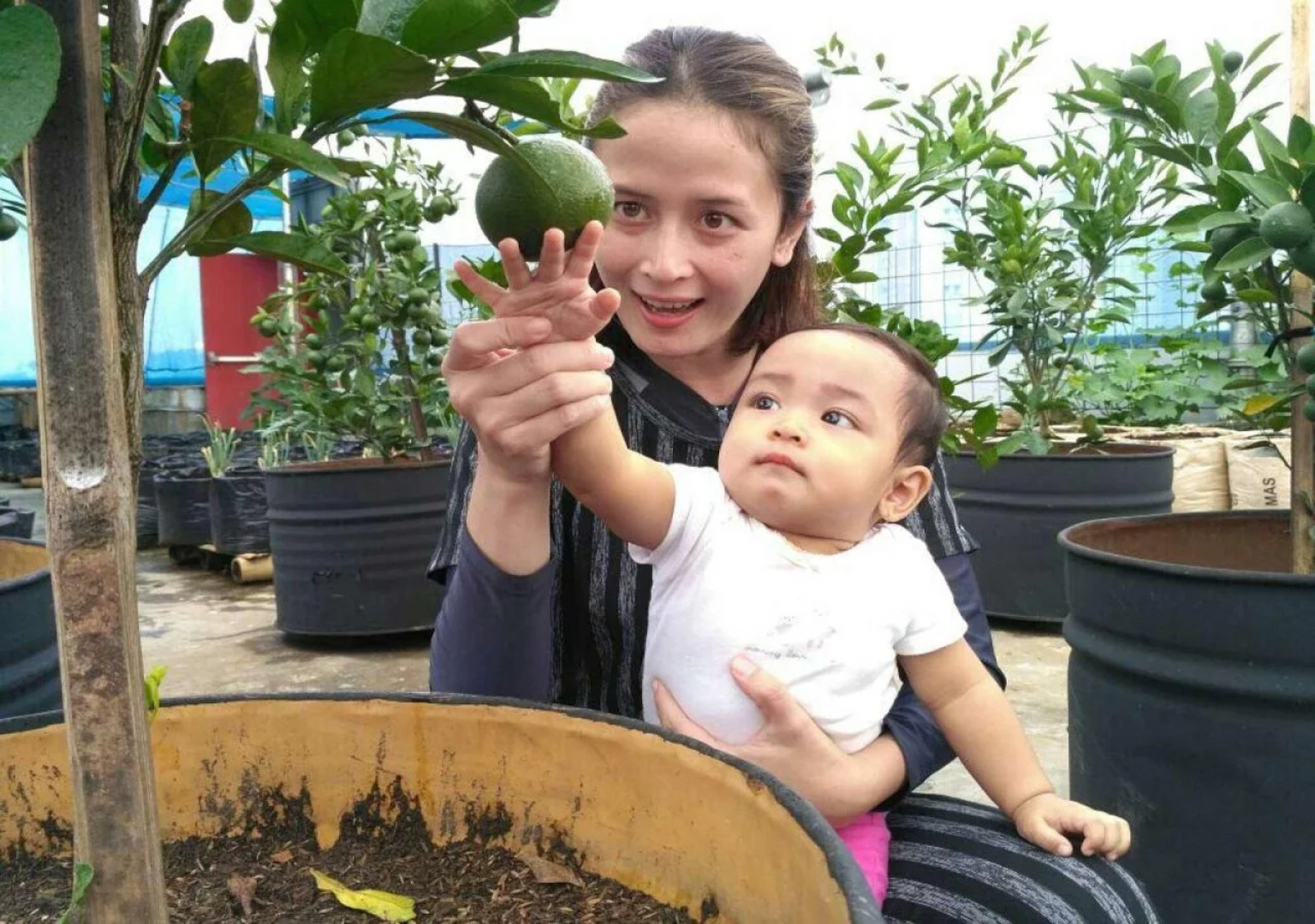 Grand Tjokro Premier Bandung