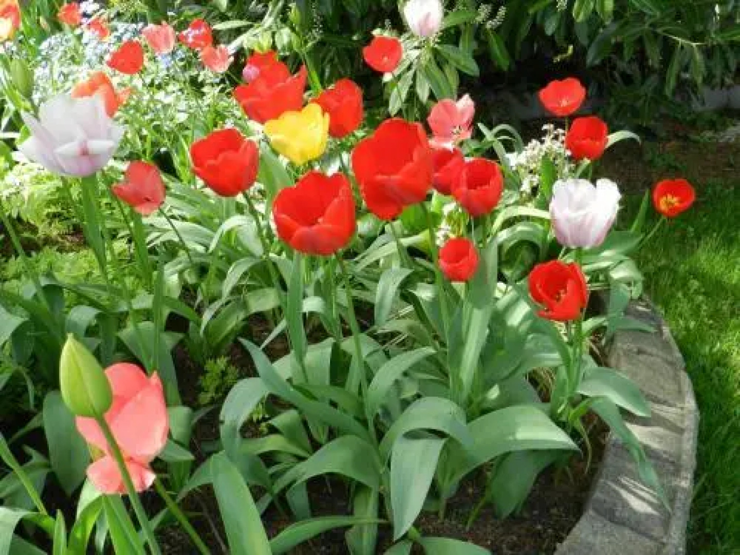 Serenity Bed and Breakfast