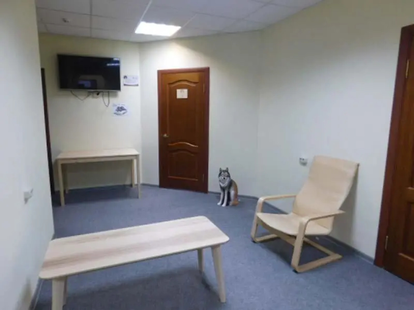 Tambovskij Volk Hostel