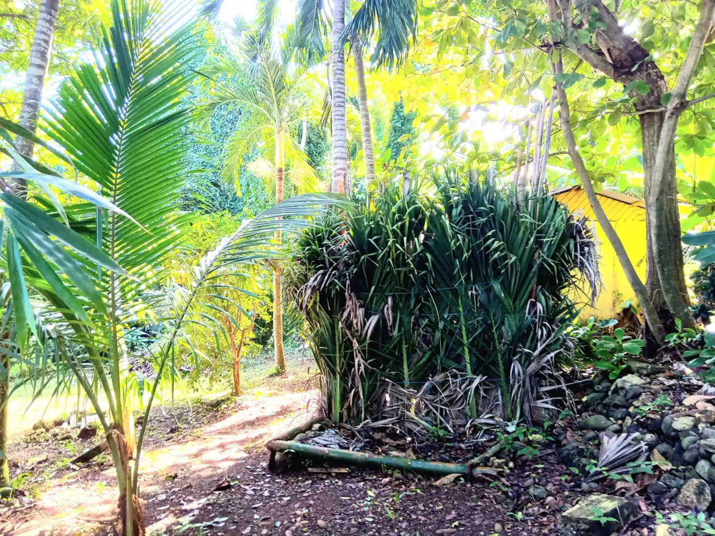 La Familia Guest House and Natural Farm