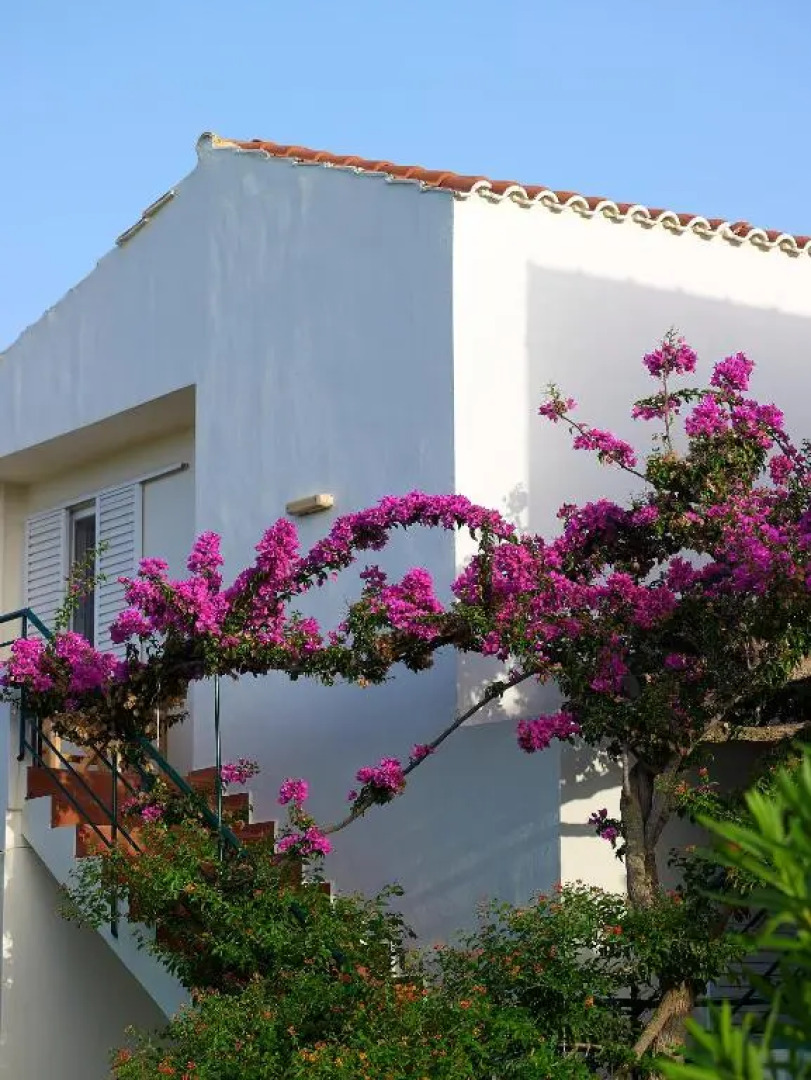 Mousses Apartments & Studios