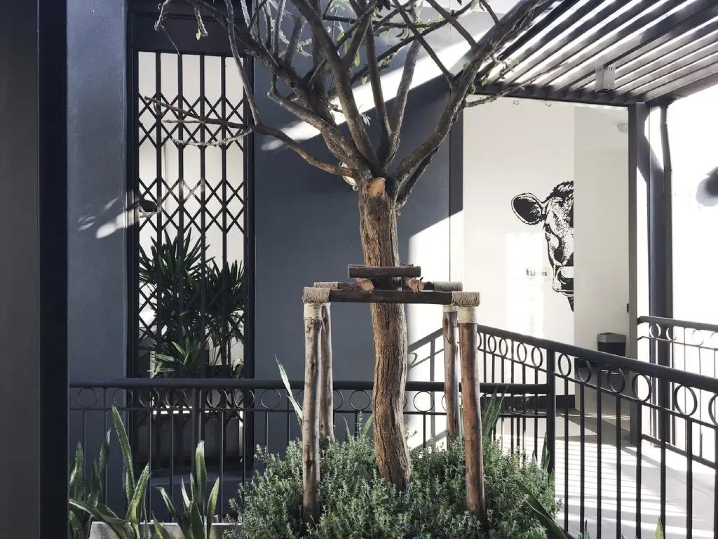 Airy Kota Timur Kasuari Satu 43 Gorontalo