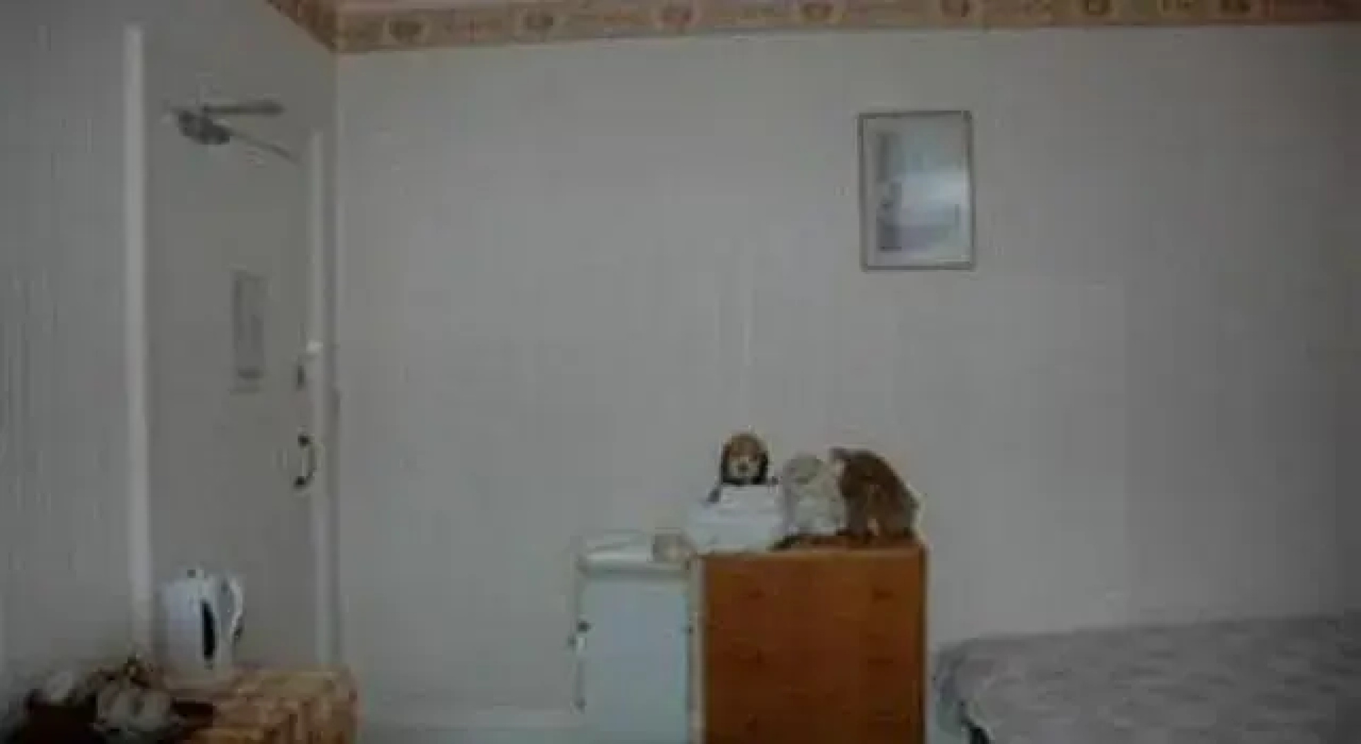 Eglinton Guest House