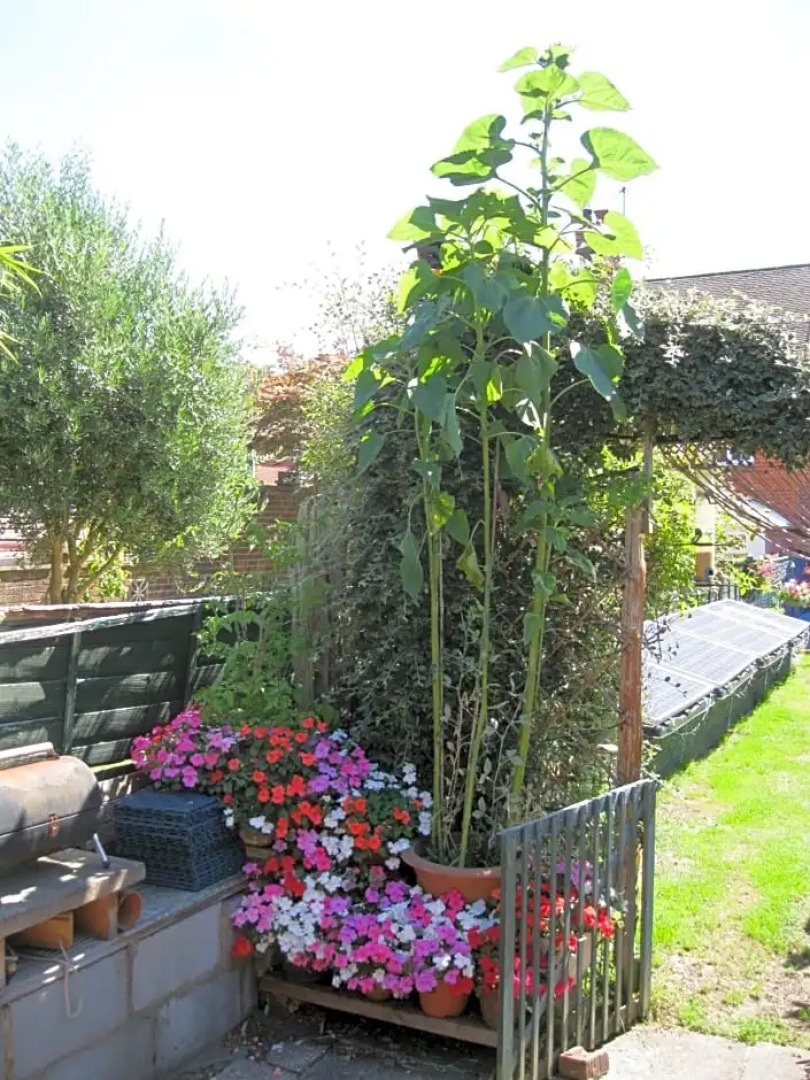 Perfect for Petersfield B&B