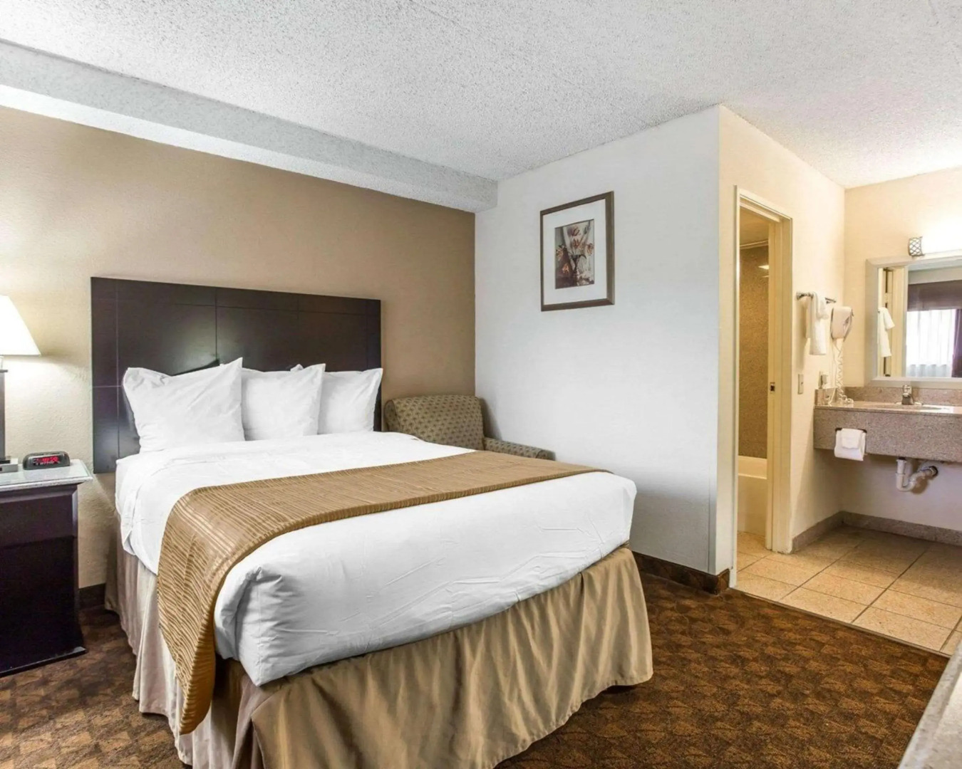 Quality Inn & Suites Coliseum