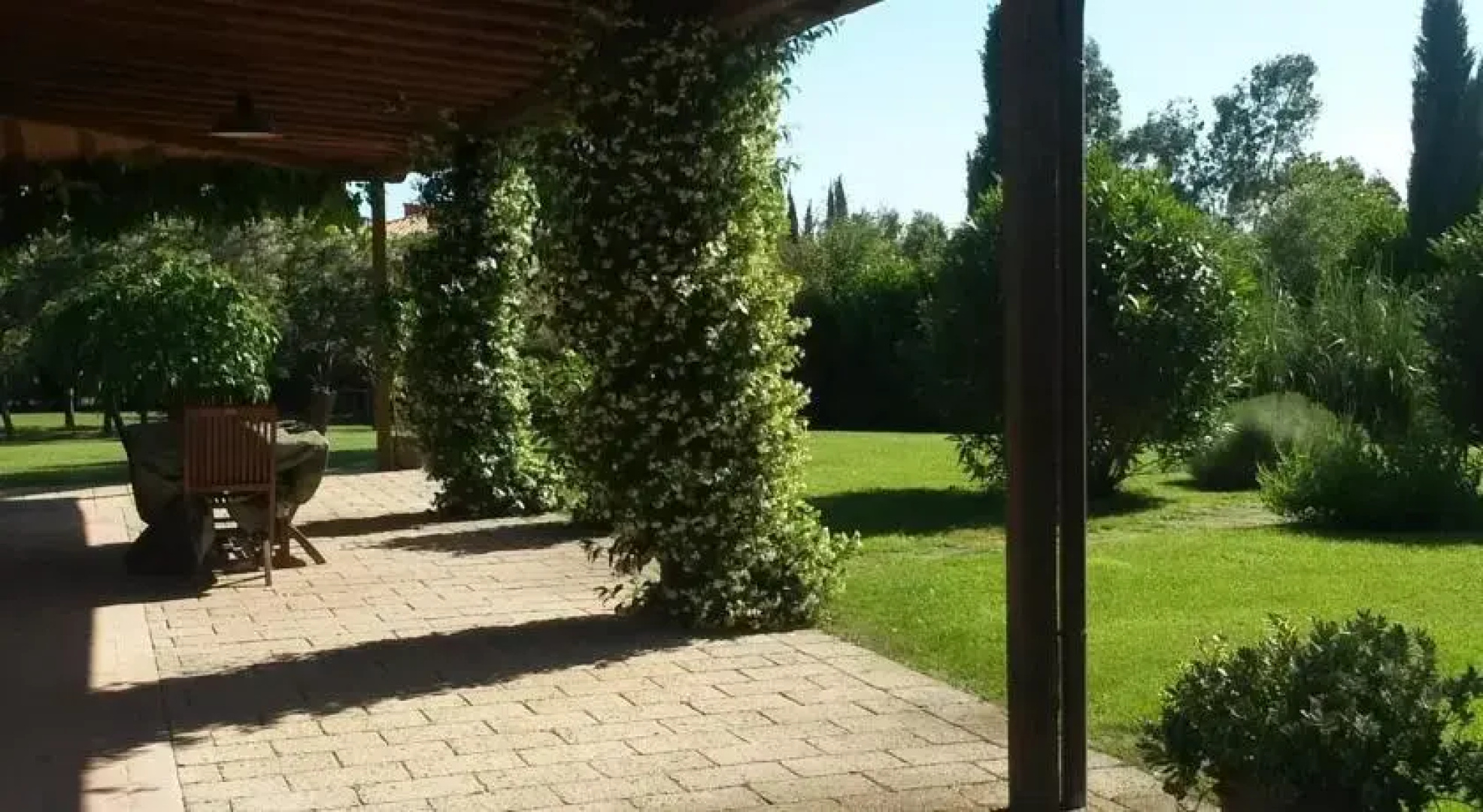 Pelagone