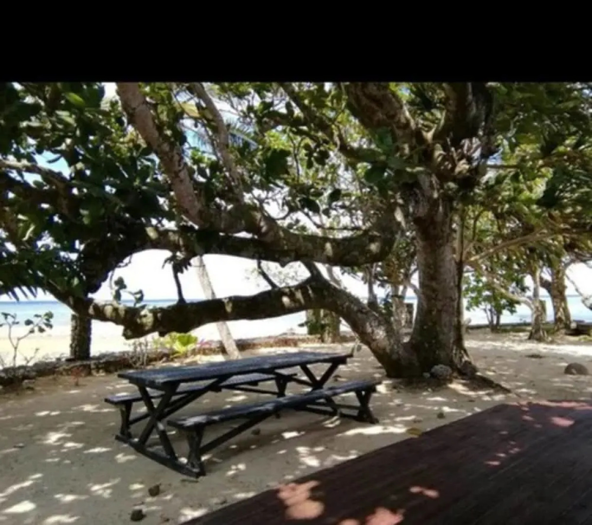 De Vos The Private Residence