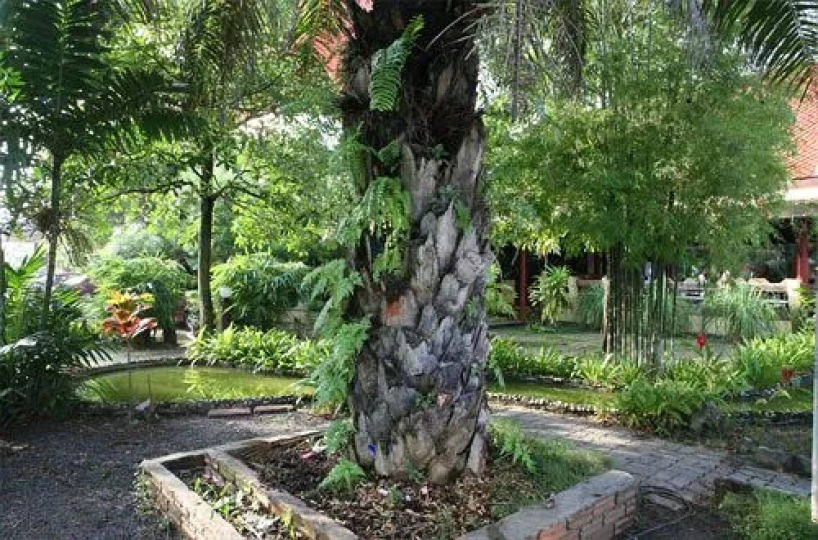 Pinnacle Satun Hotel